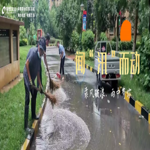 雨中堅守護家園，筑牢汛期安全墻
