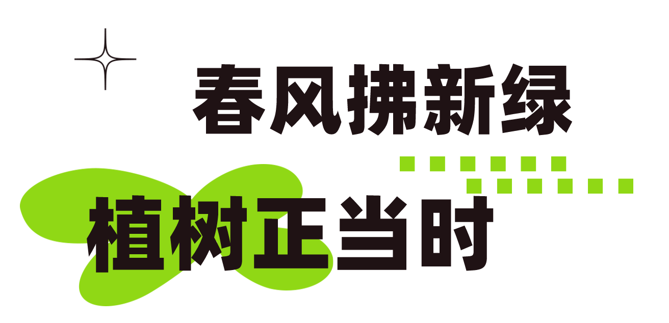 和美睦鄰+ | 隆泰物業(yè)綠色家園植樹節(jié)活動(dòng)精彩有你(圖2)