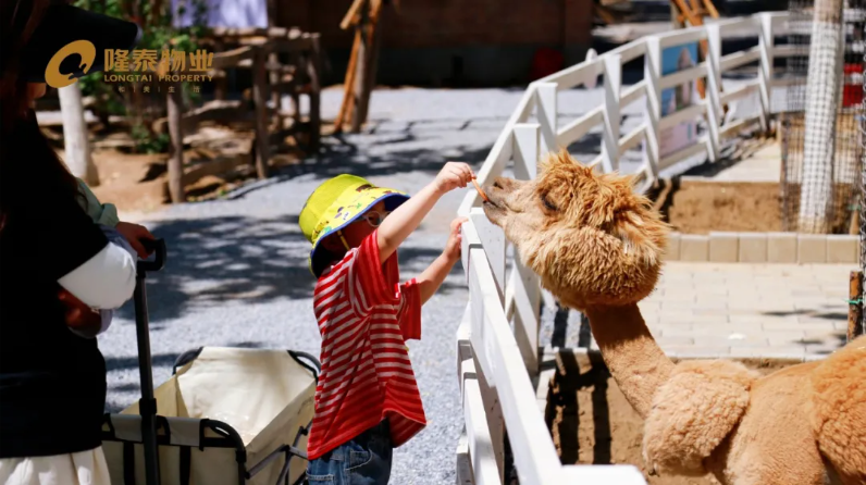以家之名·與愛(ài)同行  隆泰物業(yè)員工家庭日主題活動(dòng)“童”樣精彩(圖4)